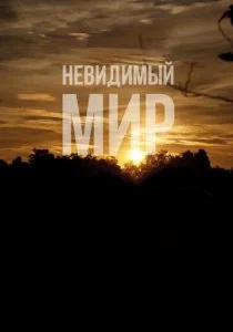 Невидимый мир