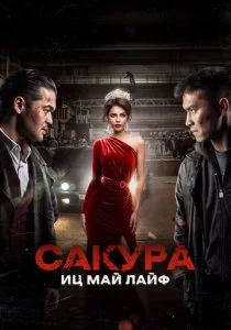 Сакура. Иц май лайф смотреть онлайн