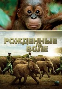 Рожденные на воле смотреть онлайн